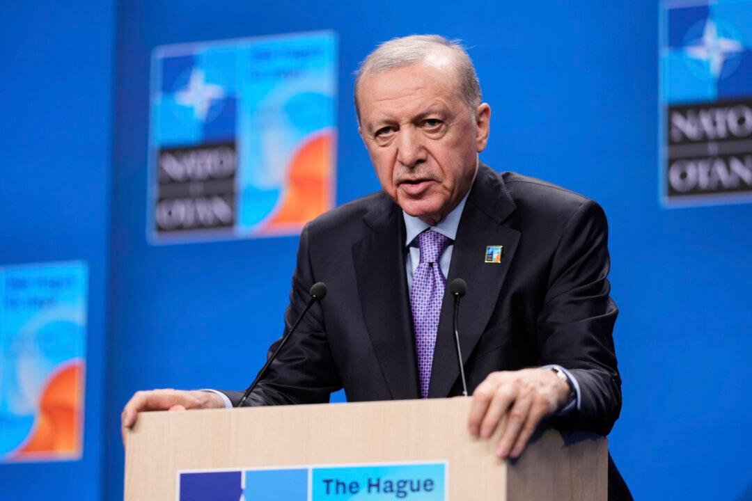 Turkish Court Orders Ban on Elon Musk’s Grok Chatbot for Insulting President Erdogan