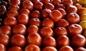The Price of Tomatoes