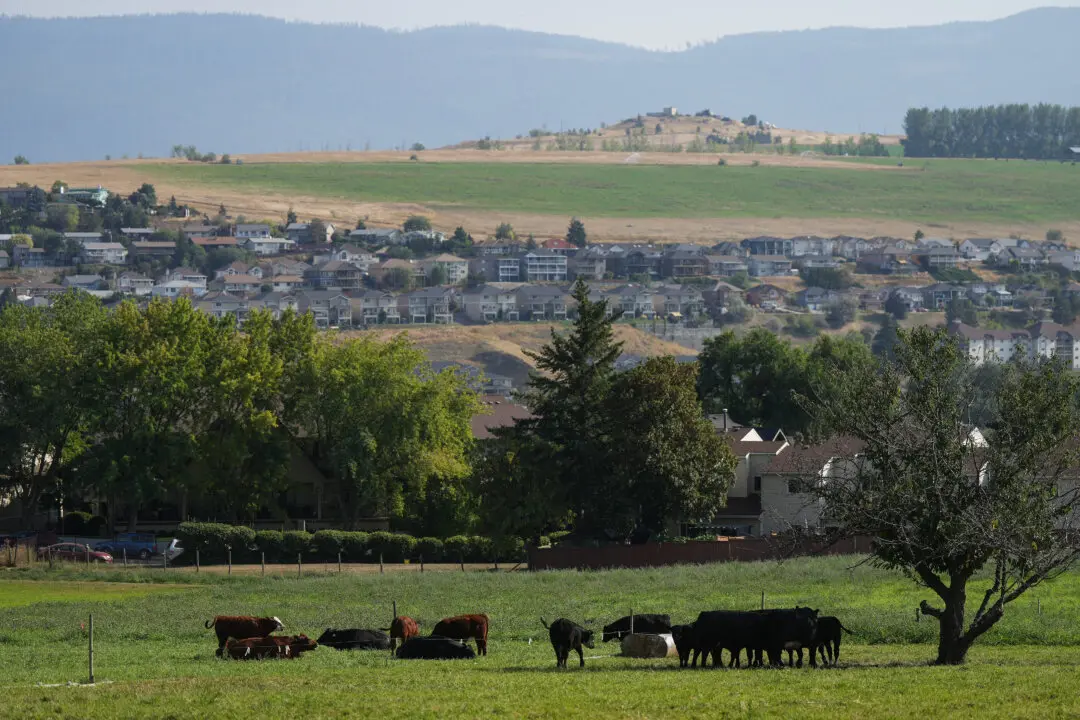 Communities Report High Demand for Pilot Offering Permanent Residency for Rural Jobs