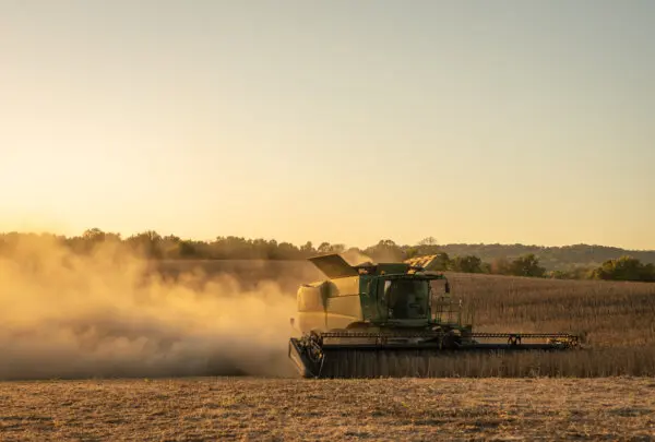 Trump Says China Will Buy More US Soybeans as Data Reveal Low Volume