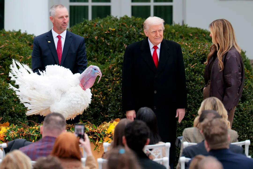 Trump Pardons 2 Turkeys, Gobble and Waddle, in Thanksgiving Tradition