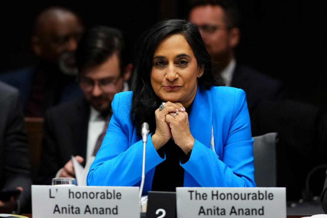 MPs Push Minister Anand for Foreign Agent Registry Timeline, Say Interference a Major Concern