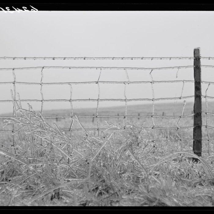 Joseph F. Glidden: The Man Who Fenced in America