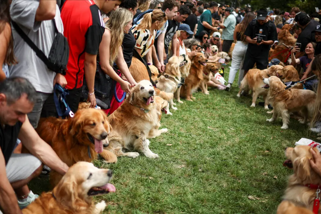 Dog Owners Could Get Up to $150 in Cosequin Settlement: Who Qualifies and How to Claim