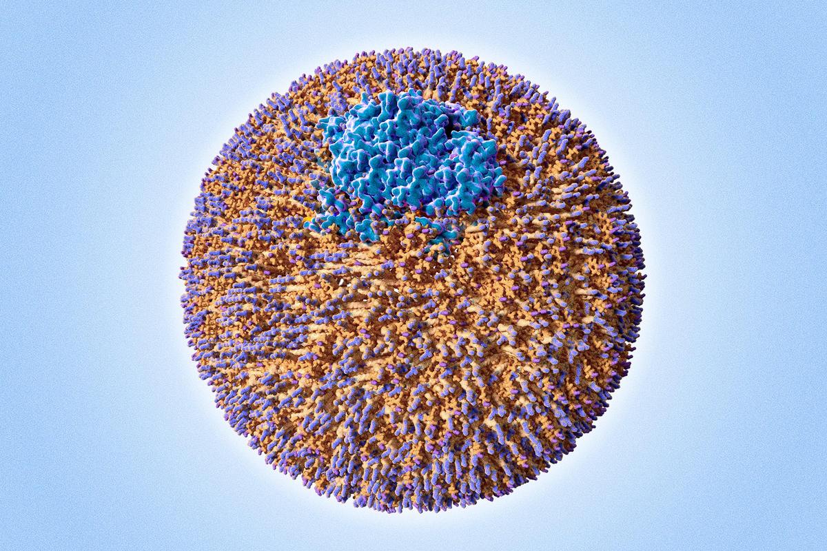 Your Cholesterol May Look Normal—This Hidden Particle Could Still Be Raising Your Heart Risk