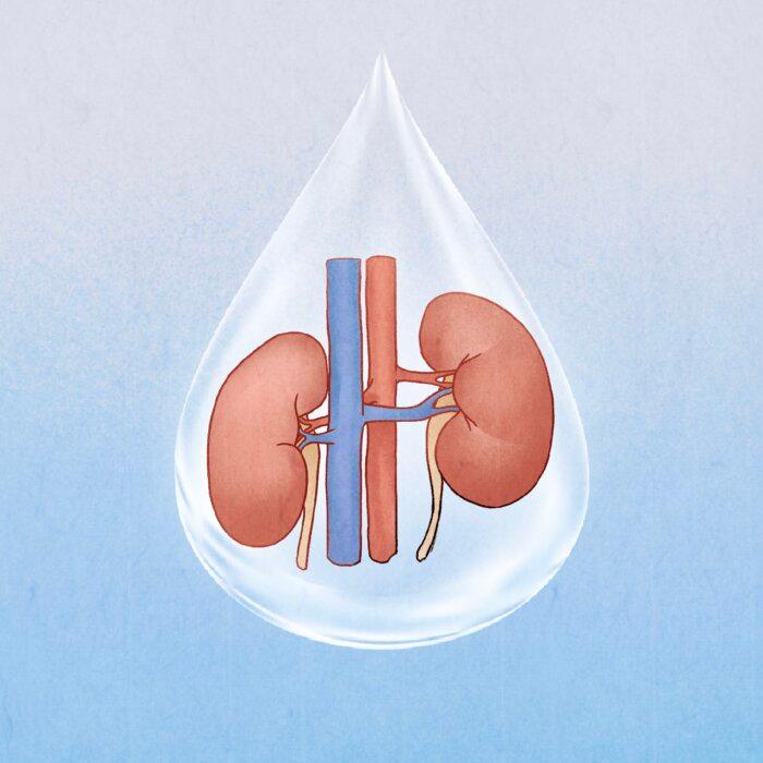 What Fear Can Do to Your Kidneys?