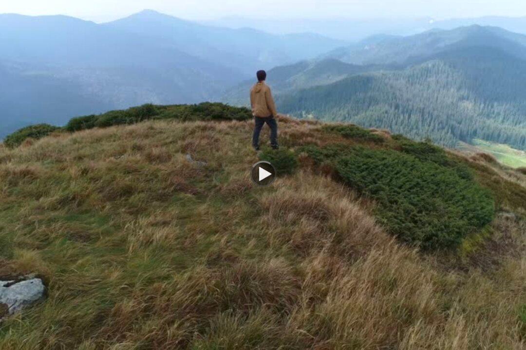 The Stoic’s Guide to Life: Ancient Wisdom for Modern Struggles