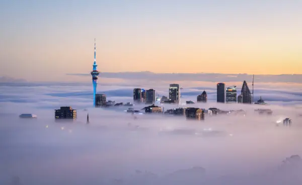 24 Hours in Auckland