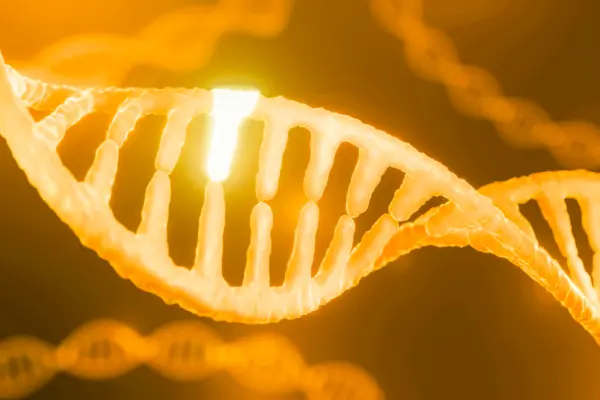 Genes Are Not Your Destiny: How to Modify Your Epigenetics for Longevity
