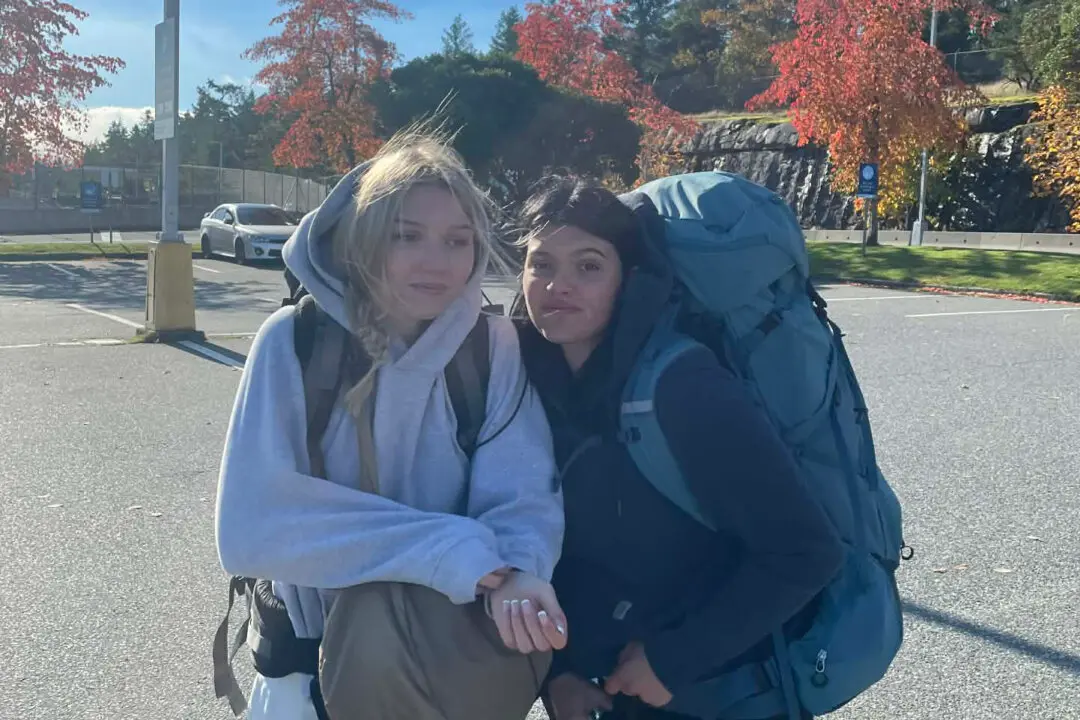 Australia Announces Cull of Dingoes That Circled Canadian Woman’s Body on Beach