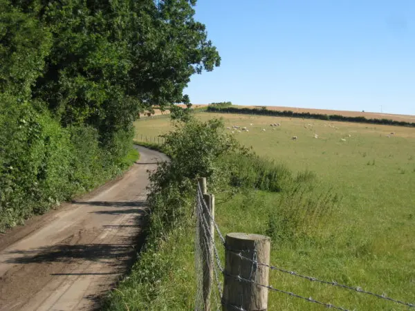 Building for Eternity: Rome’s Engineering Genius