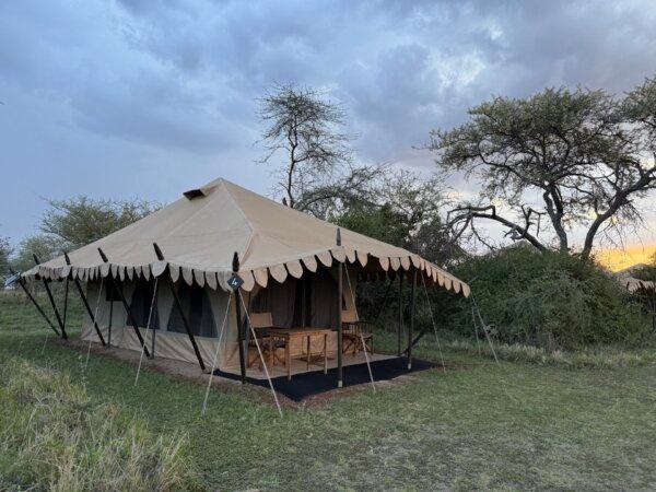 A Magical Safari Reveals Tanzania