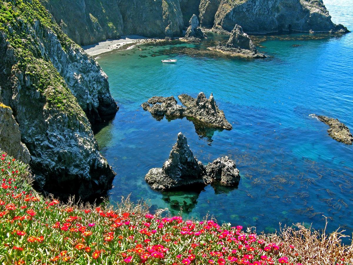 Channel Islands: See California’s Version of the Galapagos