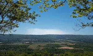 Nova Scotia Court Rules Wildfire Woods Ban ‘Unreasonable,’ Cites Charter Concerns