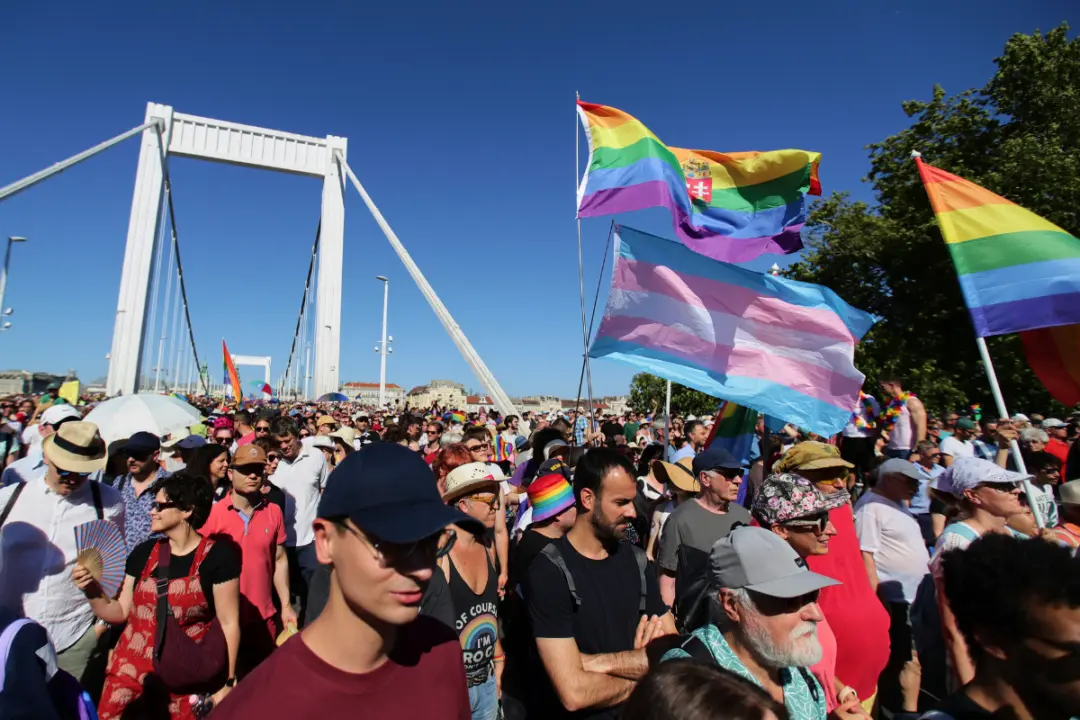 Hungarian Law Prohibiting Children From Accessing LGBT Content Violates EU Law, Court Says