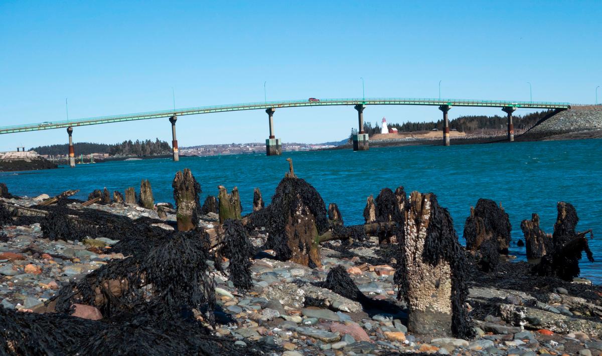 Some Americans Dig for Canadian Roots as Citizenship Rules Ease