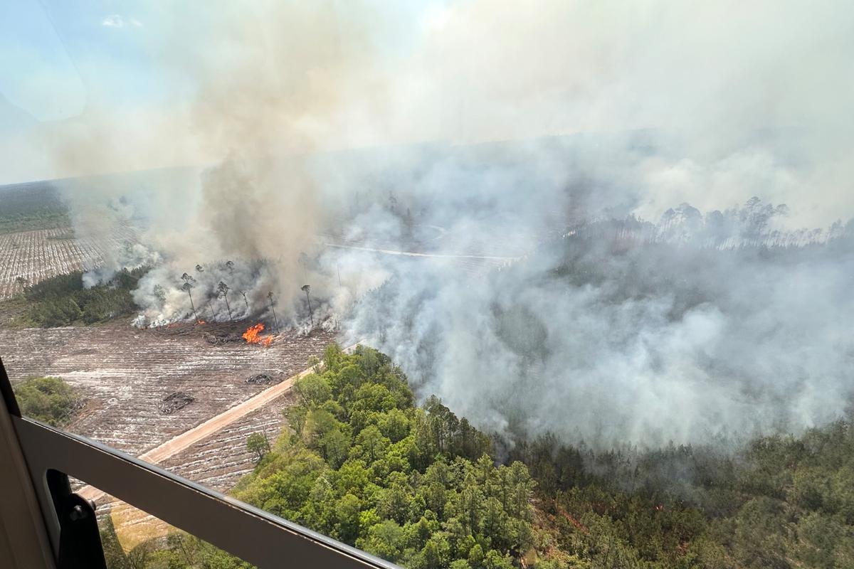 Fast-Growing Georgia Wildfire Tops 31 Square Miles, With Evacuations Possible
