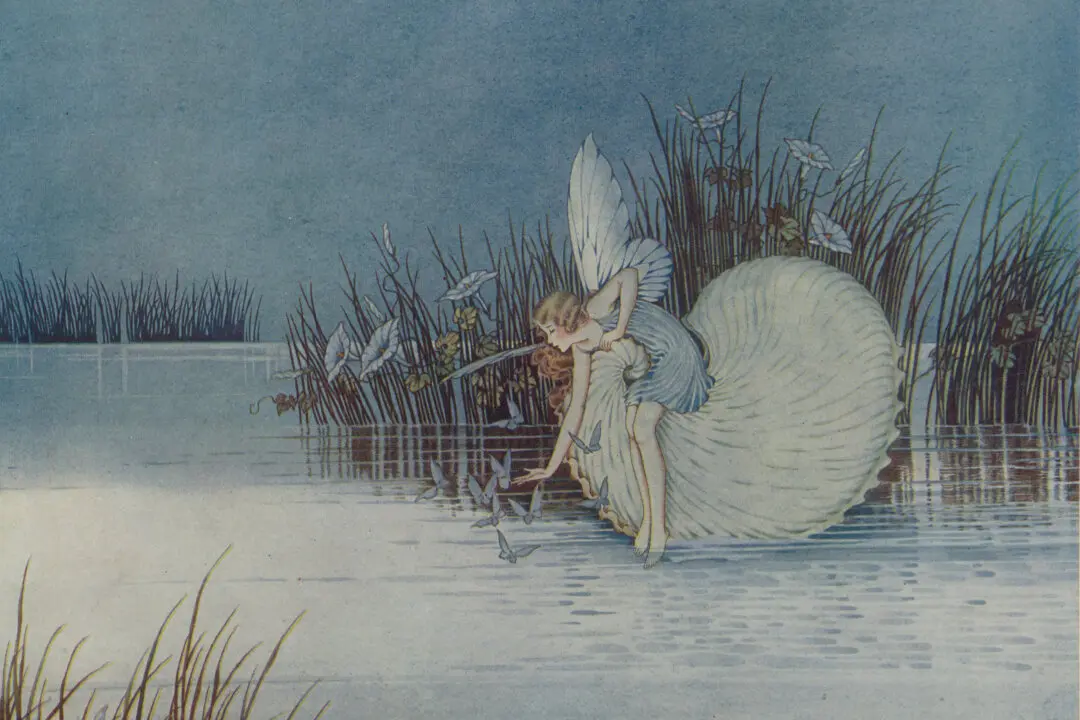 Ida Rentoul Outhwaite: Fairyland in the Southern Hemisphere