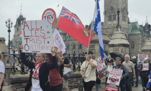 Farmers, MPs Protest Alto High Speed Rail on Parliament Hill