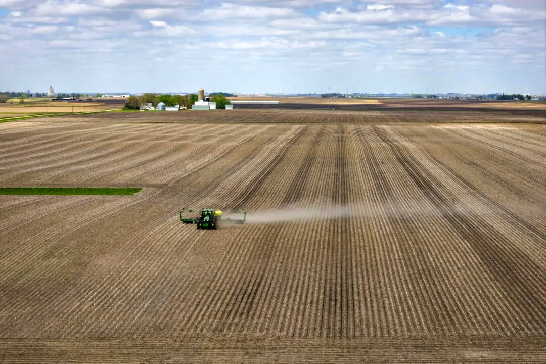 Trump Mulls Farmer Aid as Fertilizer and Fuel Costs Bite
