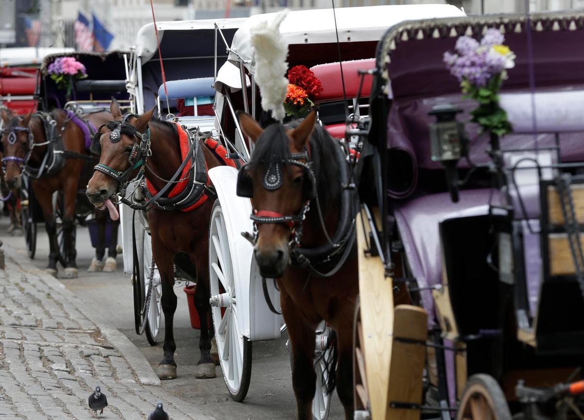 Teenager Dies After Being Thrown From Horse-Drawn Carriage in NYC’s Central Park