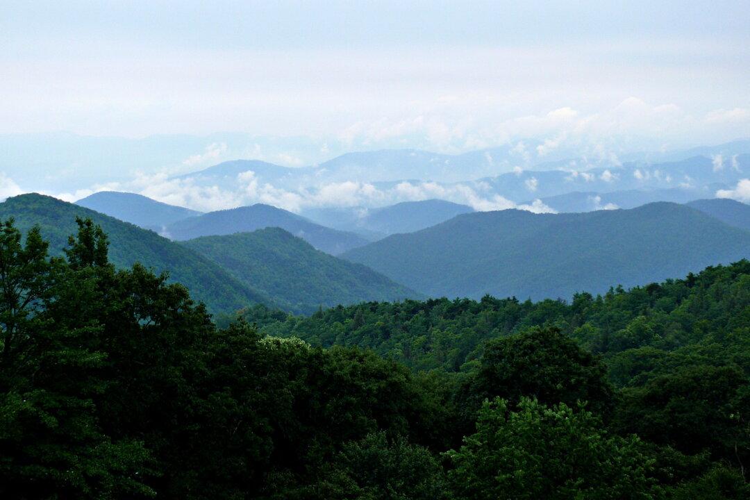 Appalachian Awakening: Rewriting American Music Culture