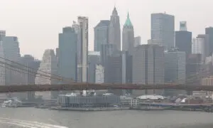 Trump Says US Will Hold Canada Responsible for Wildfire Smoke Pollution