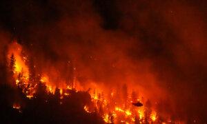 Has BC Caught Up in Managing Forest Fires?