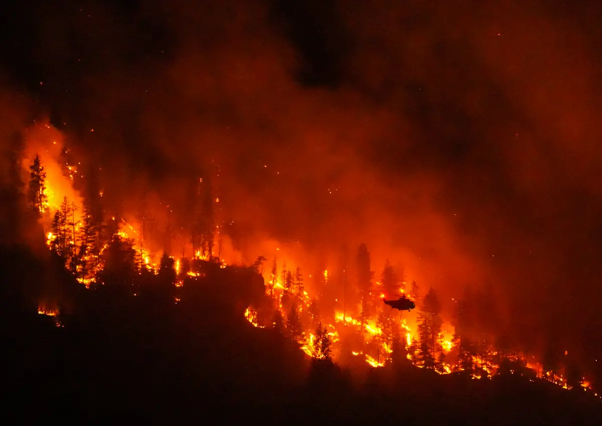 Has BC Caught Up in Managing Forest Fires?
