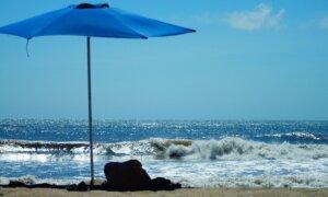 Why We Go to the Beach