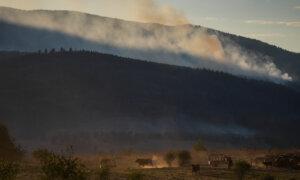 Why Some BC Farmers Stay to Fight, Despite Wildfire Evacuation Orders