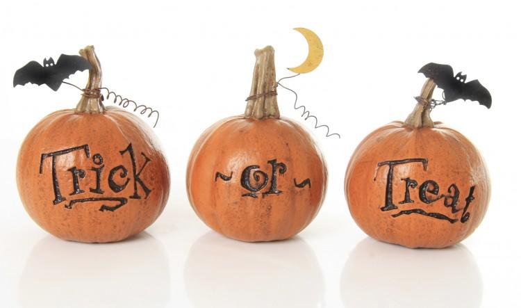 <a><img class="size-large wp-image-1775373" title="Enjoying Halloween" src="https://www.theepochtimes.com/assets/uploads/2015/09/Barbara-Helgason-153975161.jpg" alt="Enjoying Halloween" width="590" height="348"/></a>