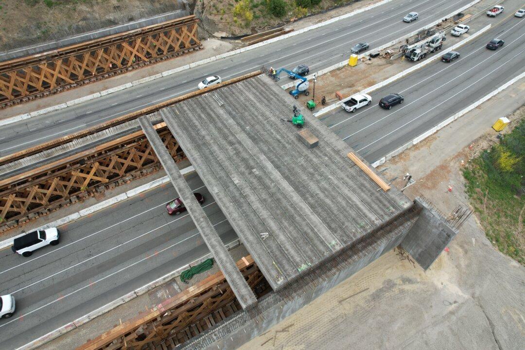 Wildlife Crossing Over 101 Freeway Set to Open by Early 2026