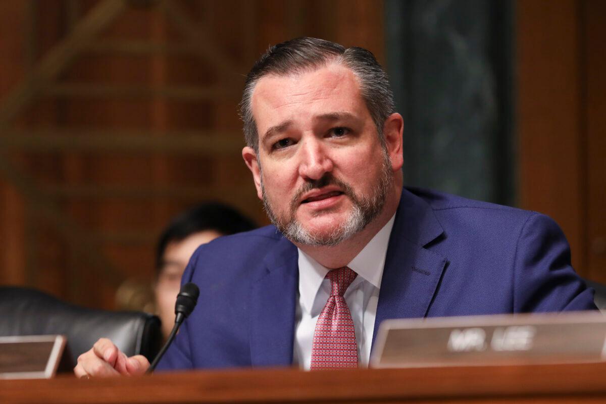 Sen. Ted Cruz (R-Texas) during a Senate Judiciary hearing about sanctuary jurisdictions, on Capitol Hill in Washington on Oct. 22, 2019. (Charlotte Cuthbertson/The Epoch Times)