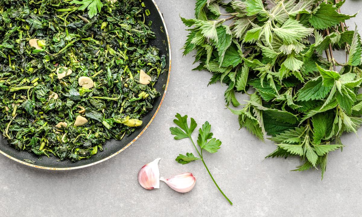 Taming the Nettle: A Romanian Springtime Tradition