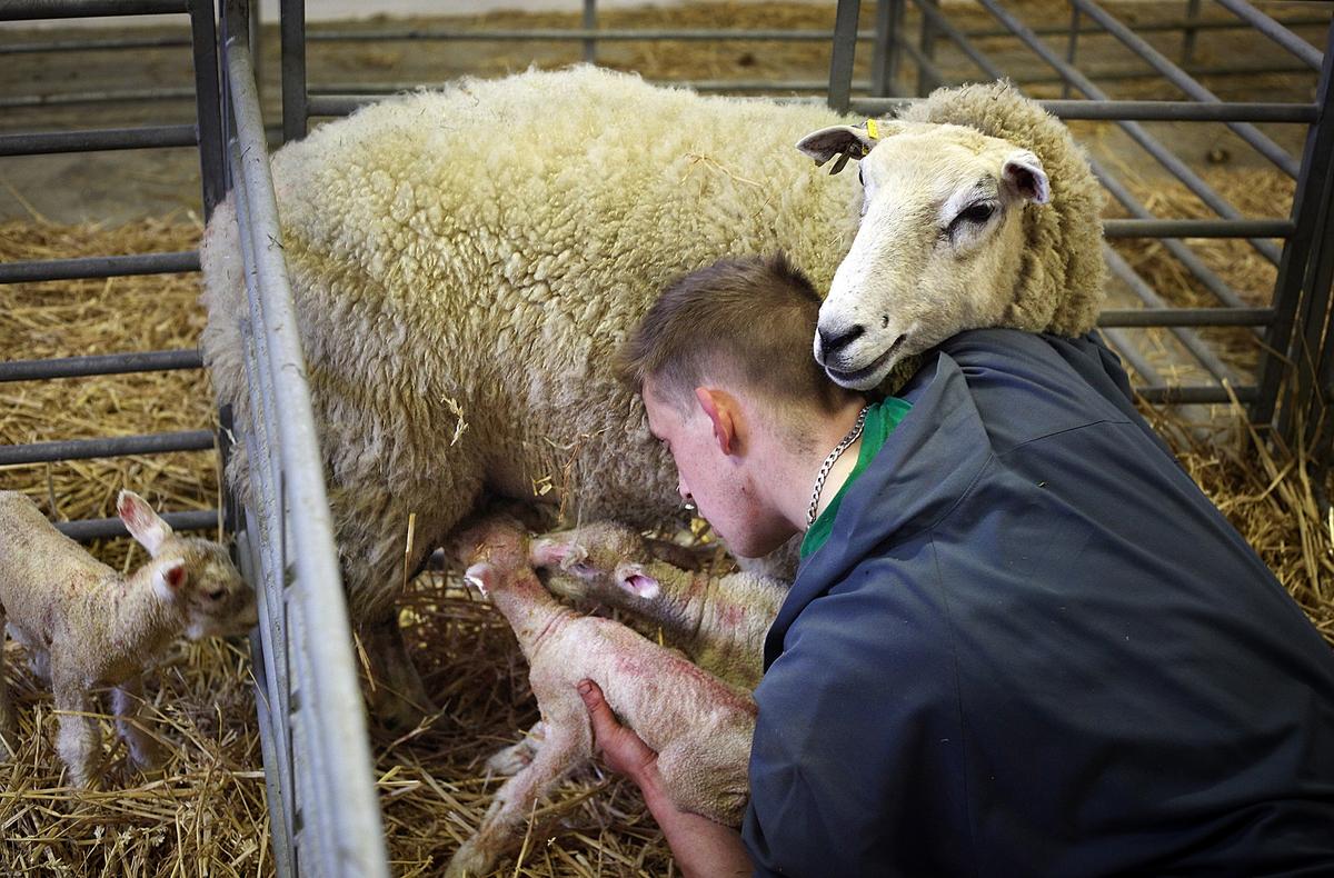 UK Seasonal Migrant Workers Exposed to Exploitation: Report