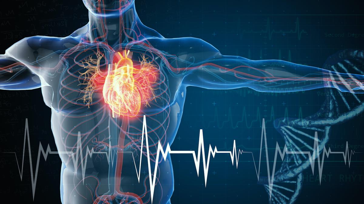 Cardiac Arrests ‘Highest Ever Recorded’ in Australian State of Victoria