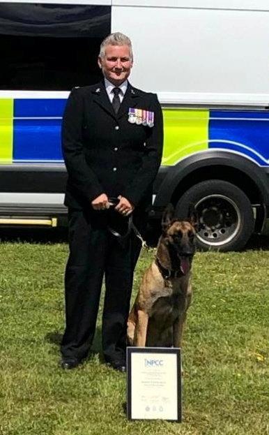 Mally the Belgian Malinois is now a service dog.