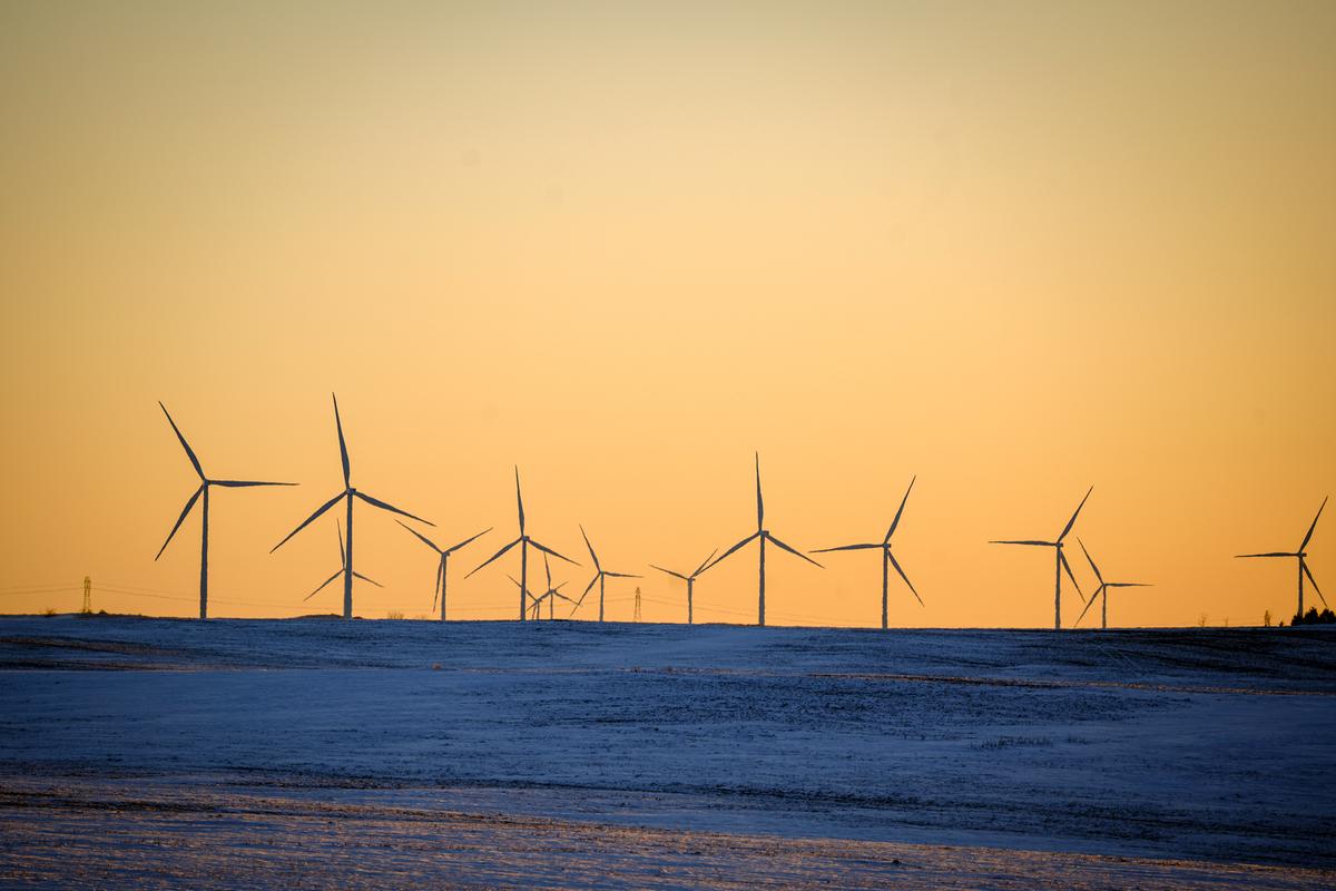 NY and 6 States Sue Federal Government Over Canceled Wind Project
