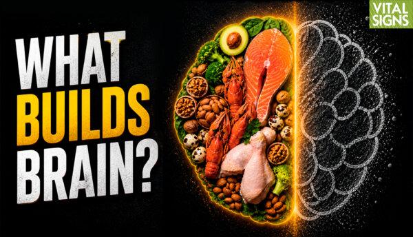 Which Protein, Fats for Brain Health? What’s Missing from the New Pyramid? | David Perlmutter MD