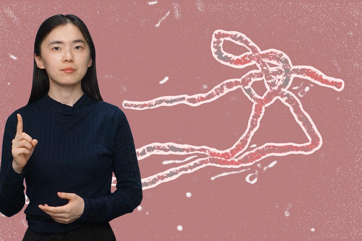 The Main Facts About the Ebola Virus thumbnail