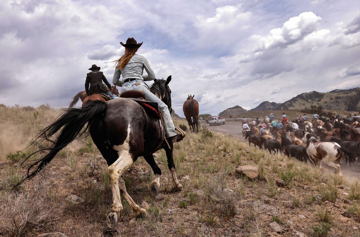 America in Photos: Horse Drive Fundraiser, Chemical Leak, and Military Academy Graduation