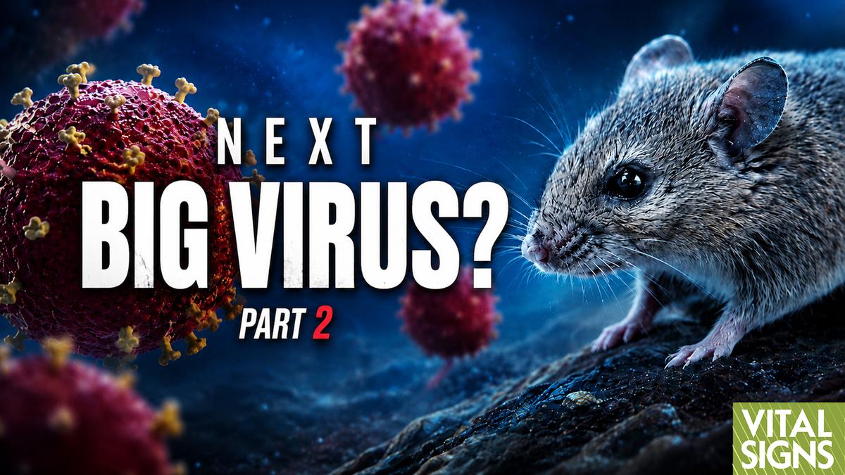 The Viruses Scientists Fear Most—Ebola, Hantavirus, & H5N1 With ICU Doctor Roger Seheult thumbnail