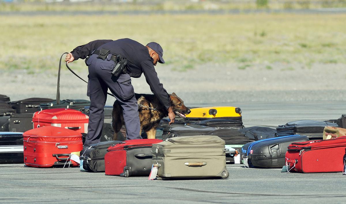 Should You Worry That Your Luggage May Turn Into a Drug Shipment at Canadian Airports?