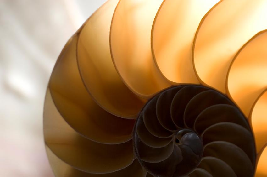 The Divine Proportion: An Indecipherable Code