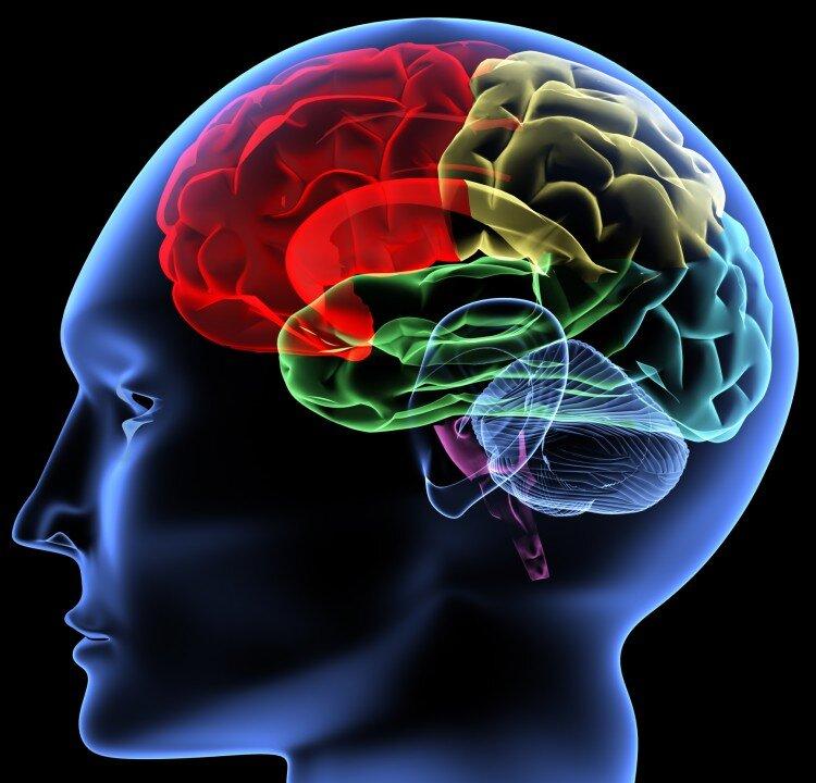 Some People Can See Sound