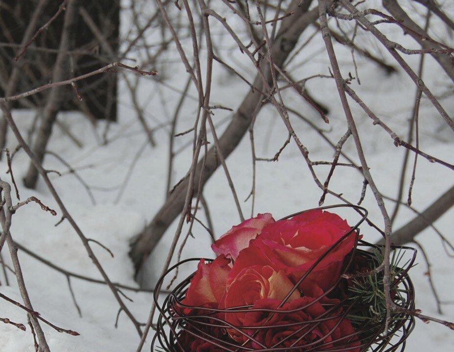 Celebrating in Winter