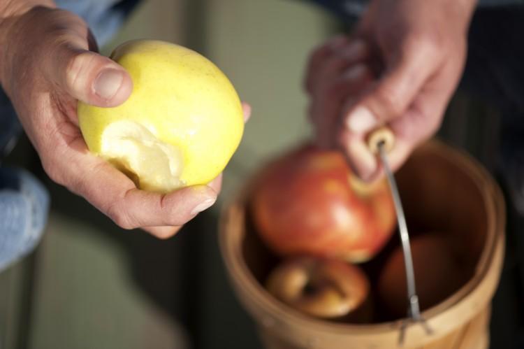 Why Apples Are Still My Favorite Fruit