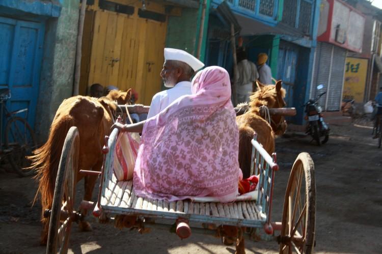 Indian Agrarian Crisis: Farmers Demand Healthy Resolution