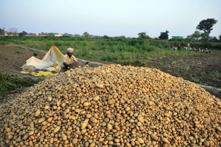 India’s Agriculture on the Brink